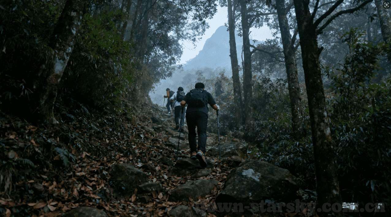 世界杯舞台点数怎么用-世界杯舞台点数，策略运用与影响分析